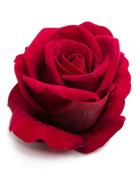 fake rose valentine's day